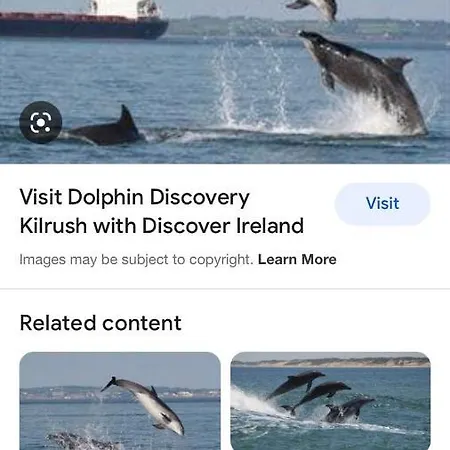 Baywatch, Shannon River View 度假居 *